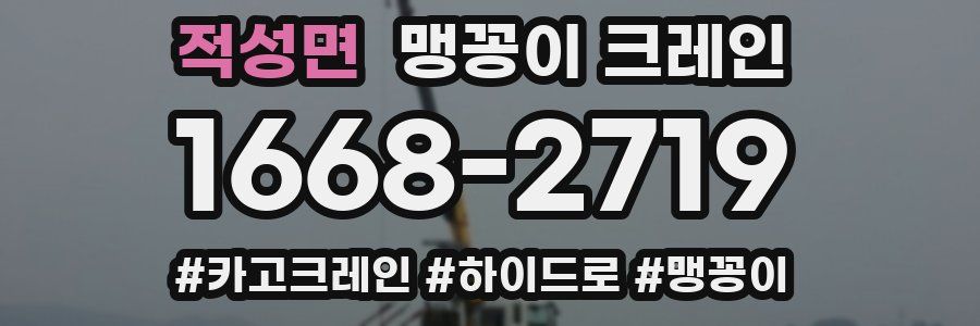 적성면 맹꽁이 크레인