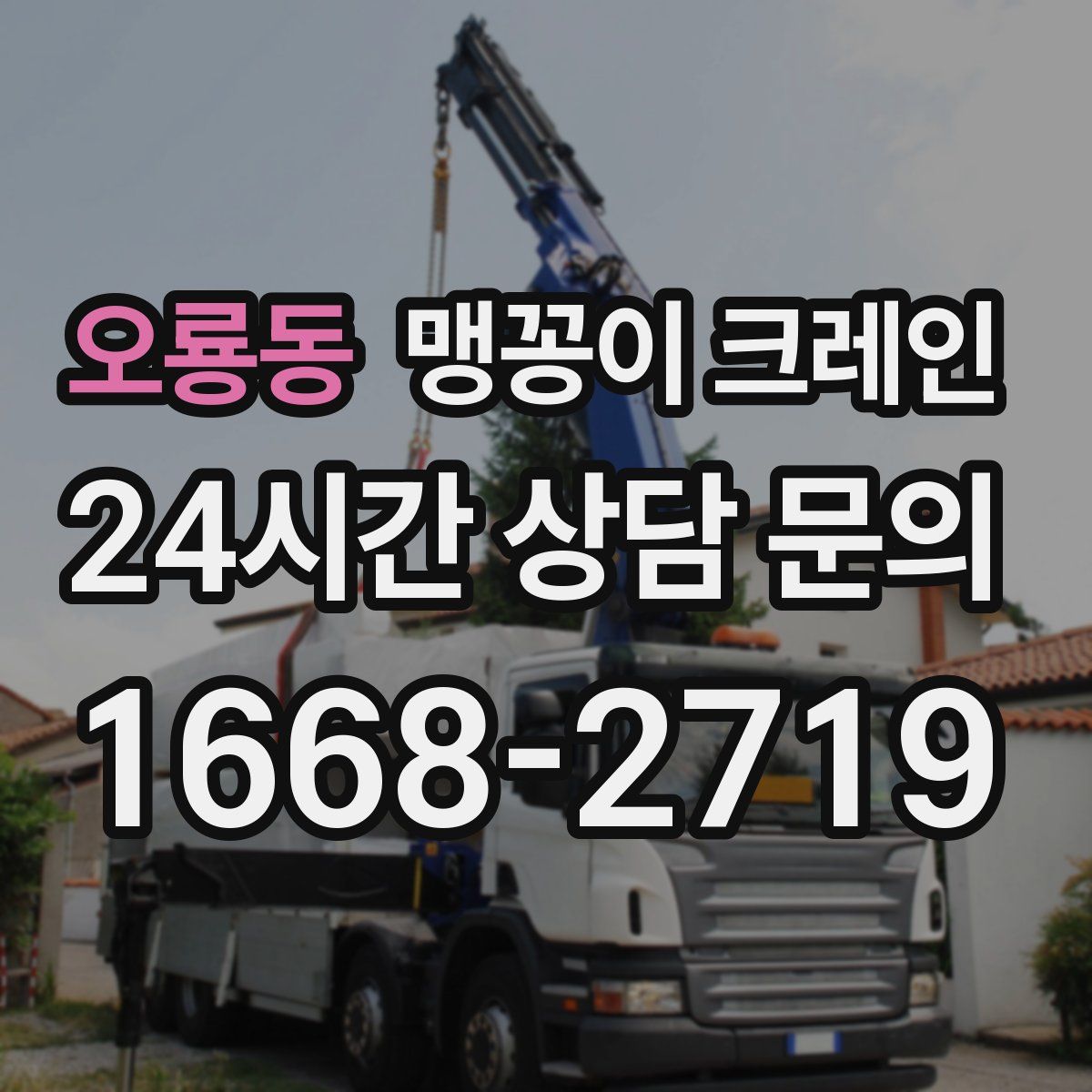 오룡동 맹꽁이 크레인