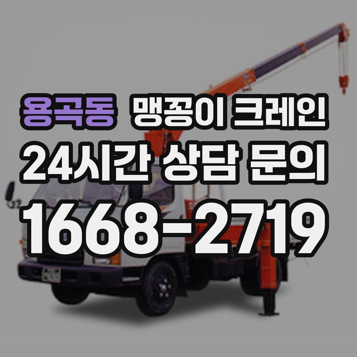 용곡동 맹꽁이 크레인