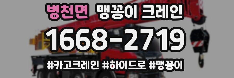 병천면 맹꽁이 크레인