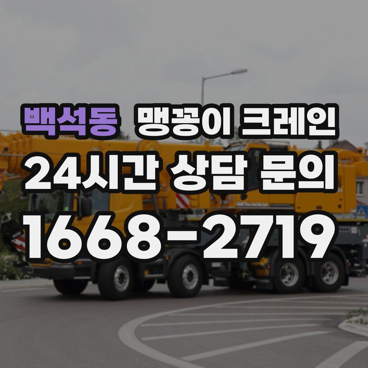 백석동 맹꽁이 크레인