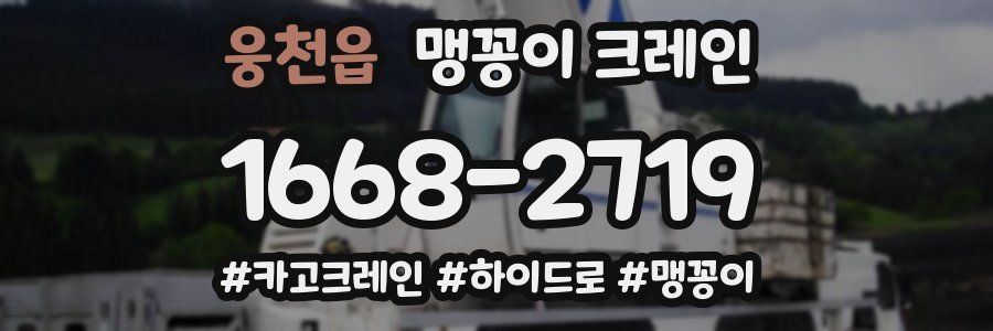 웅천읍 맹꽁이 크레인