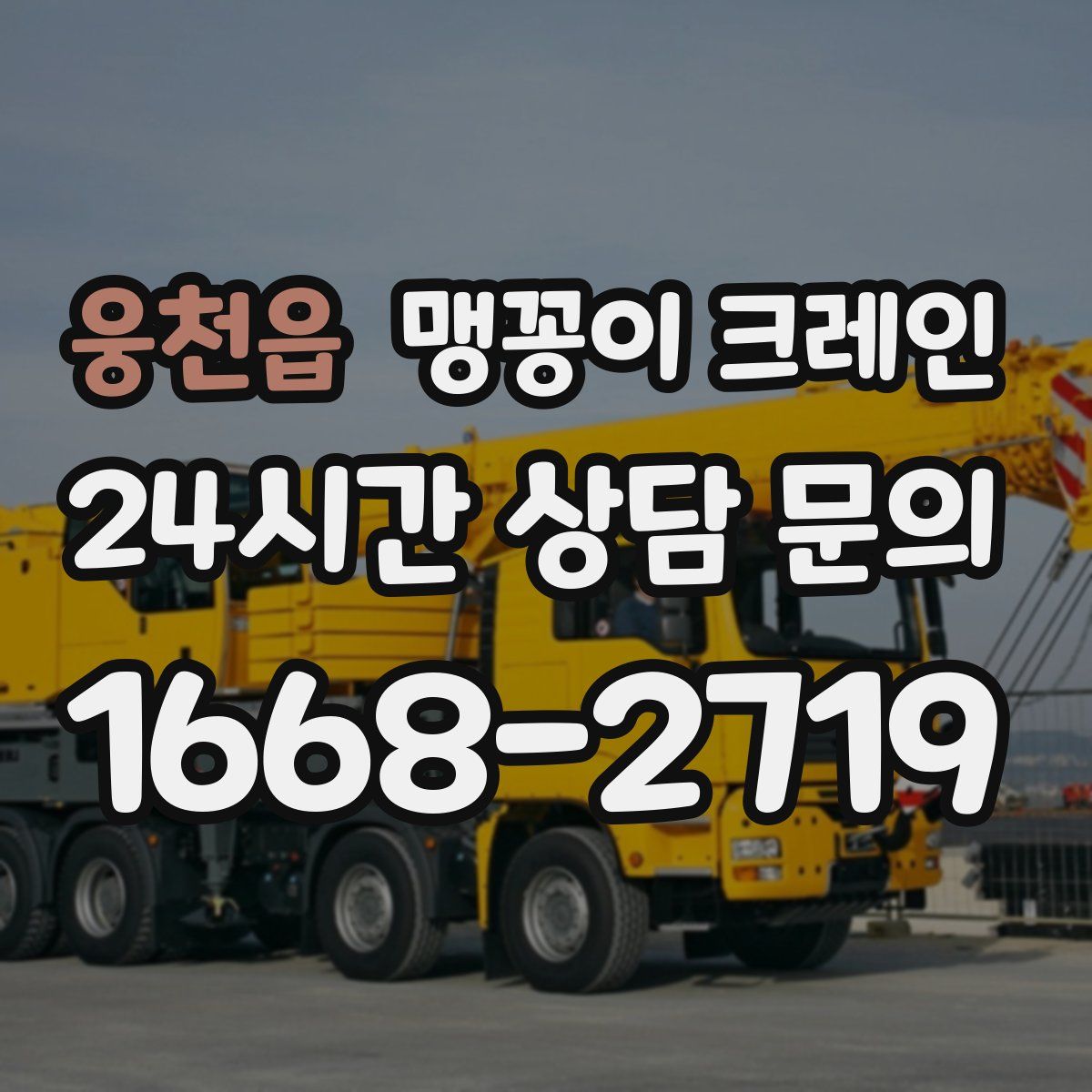 웅천읍 맹꽁이 크레인