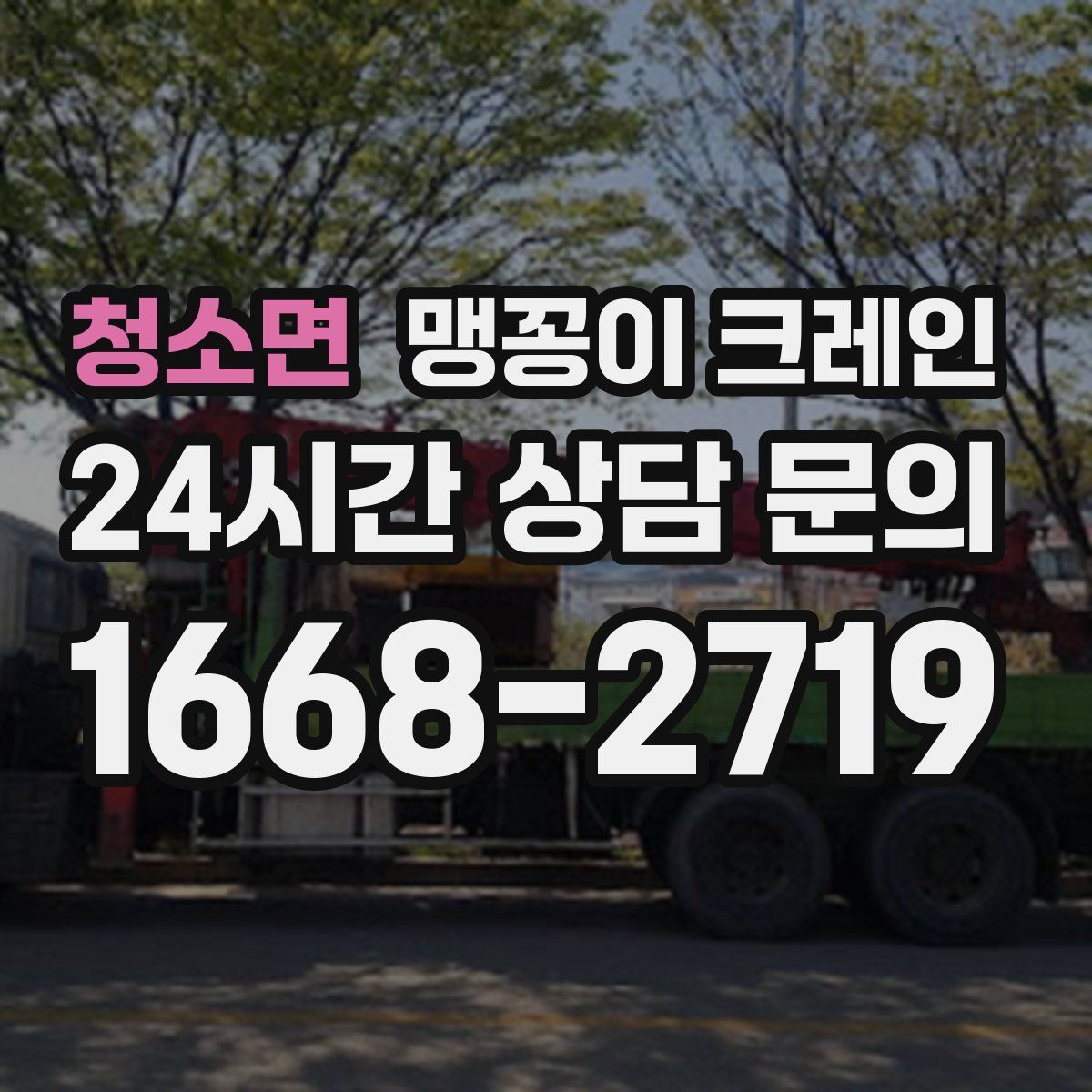 청소면 맹꽁이 크레인