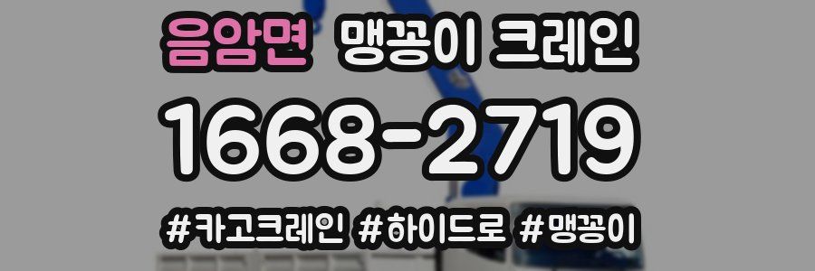 음암면 맹꽁이 크레인