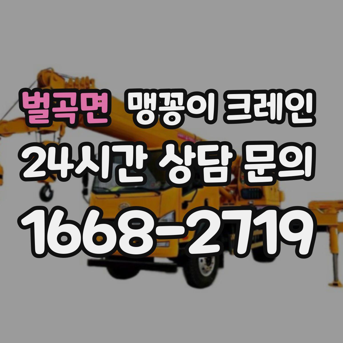 벌곡면 맹꽁이 크레인