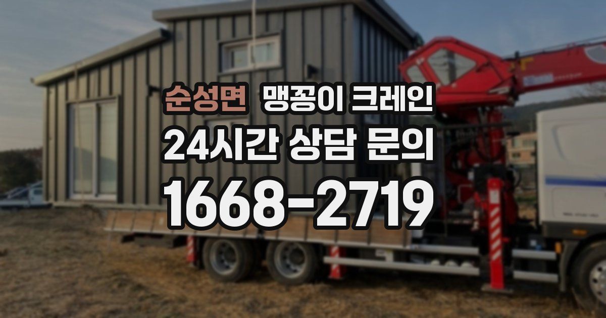 순성면 맹꽁이 크레인