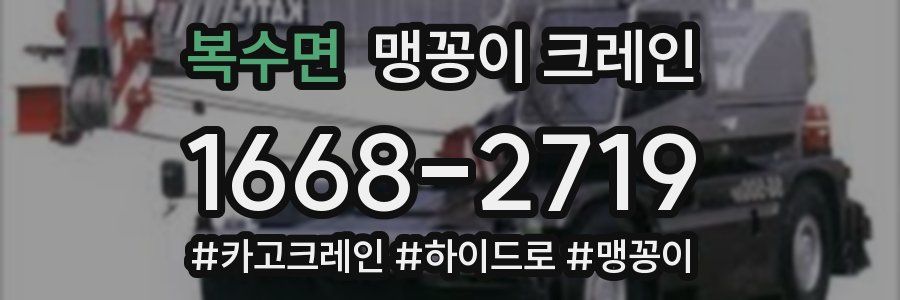 복수면 맹꽁이 크레인