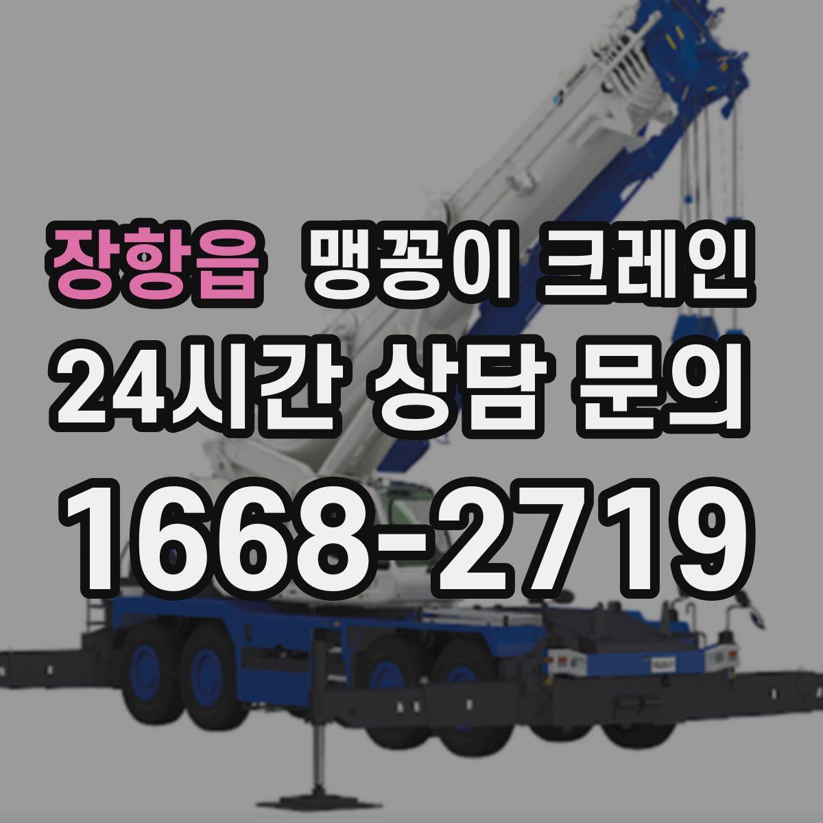 장항읍 맹꽁이 크레인