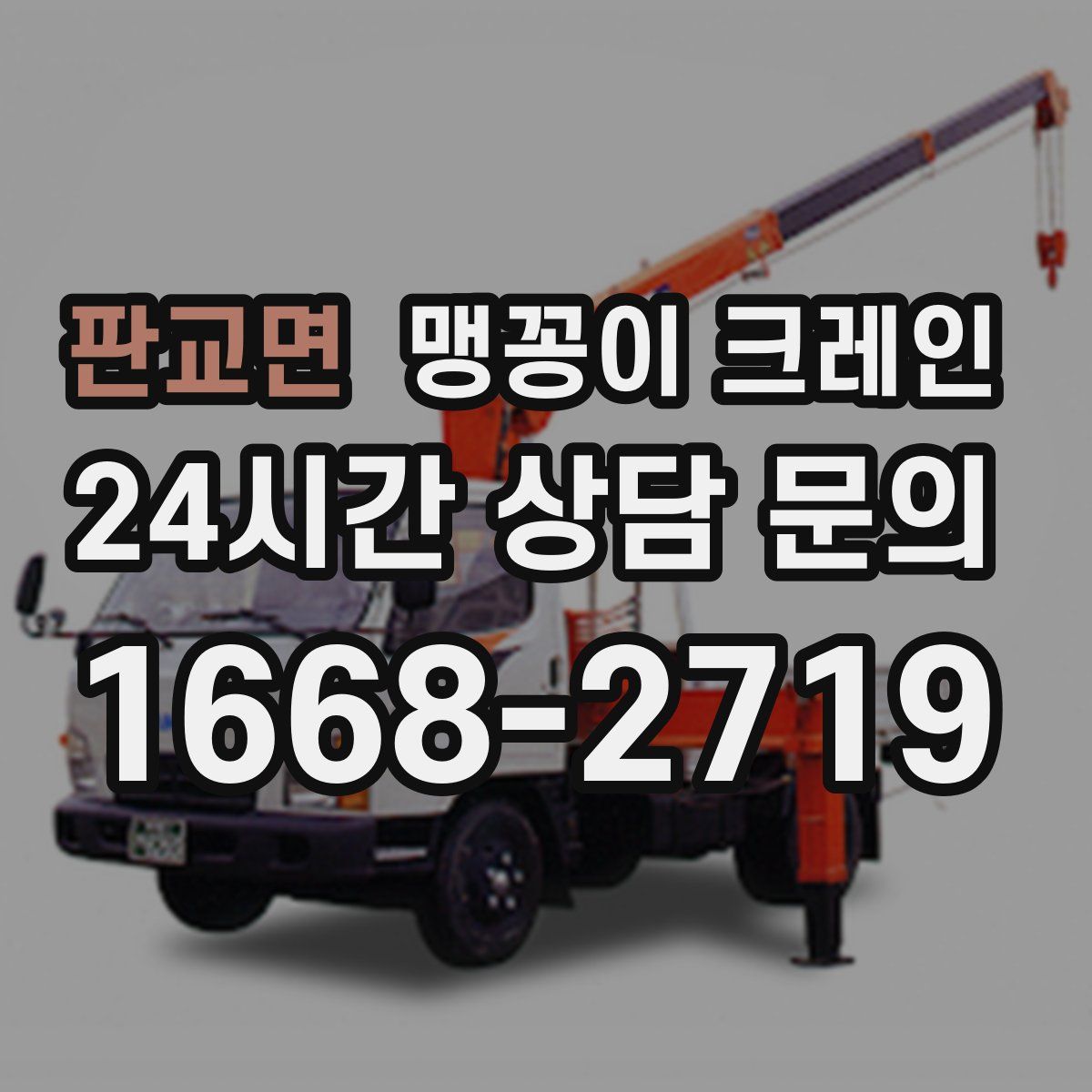 판교면 맹꽁이 크레인