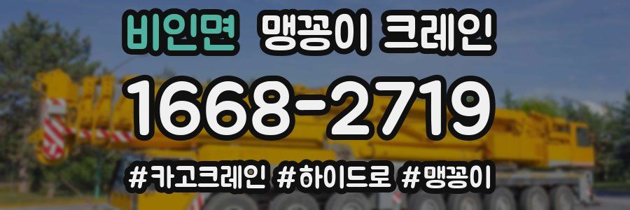 비인면 맹꽁이 크레인