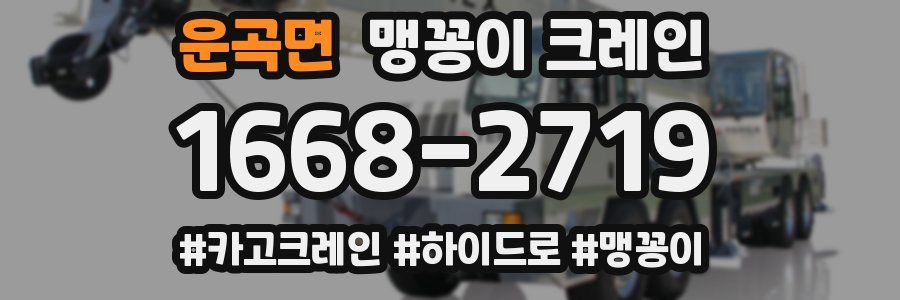운곡면 맹꽁이 크레인
