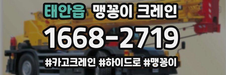 태안읍 맹꽁이 크레인
