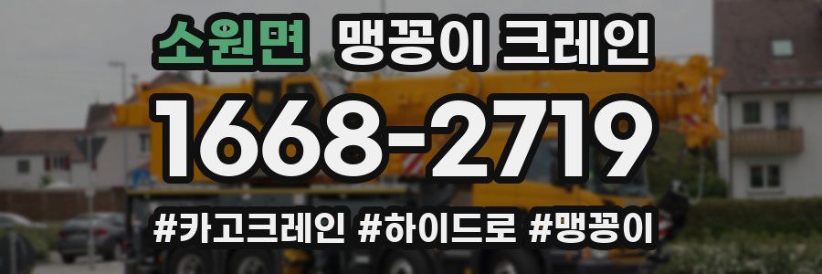 소원면 맹꽁이 크레인