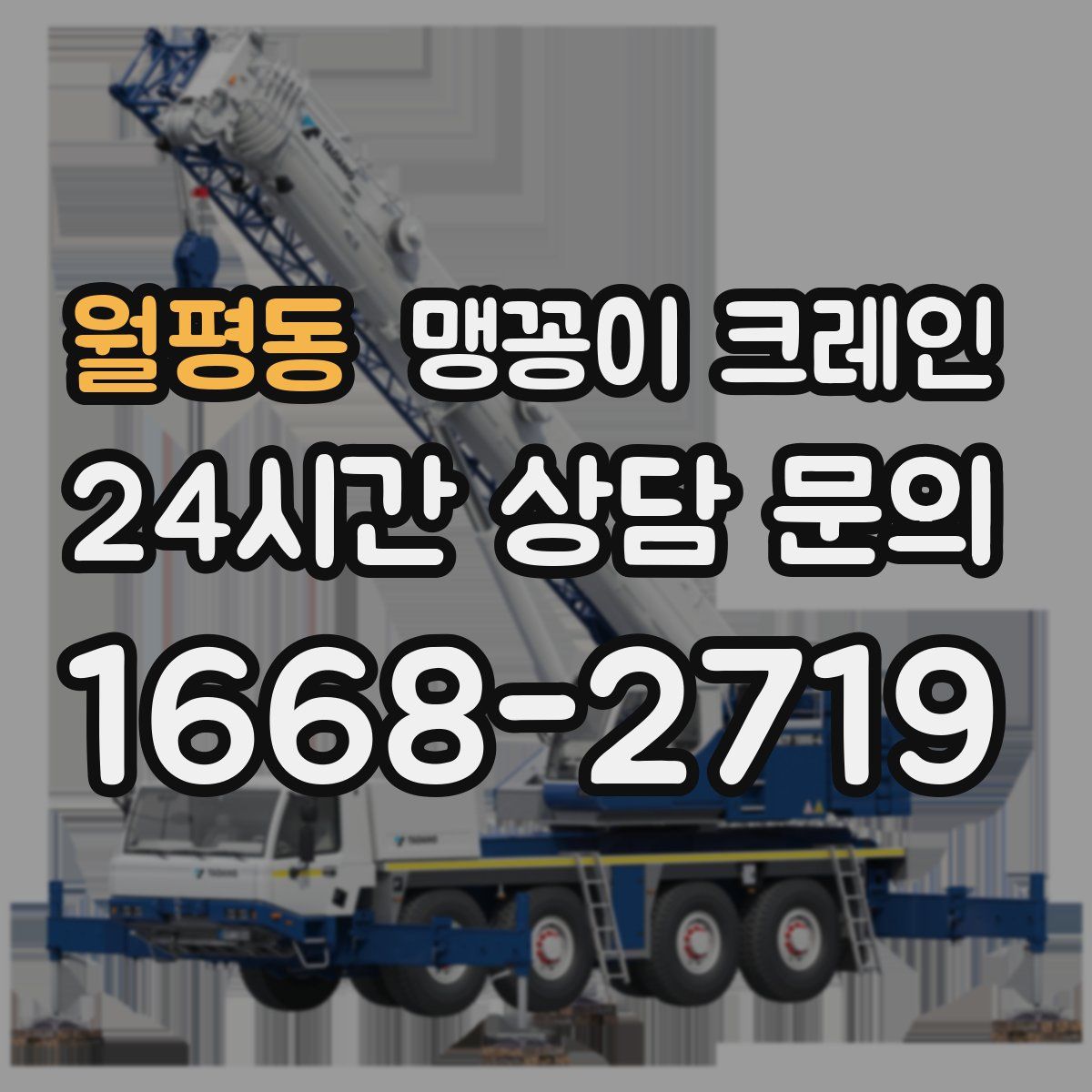 월평동 맹꽁이 크레인