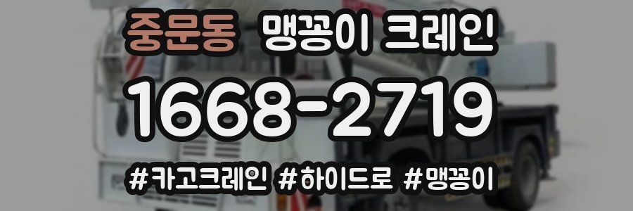 중문동 맹꽁이 크레인