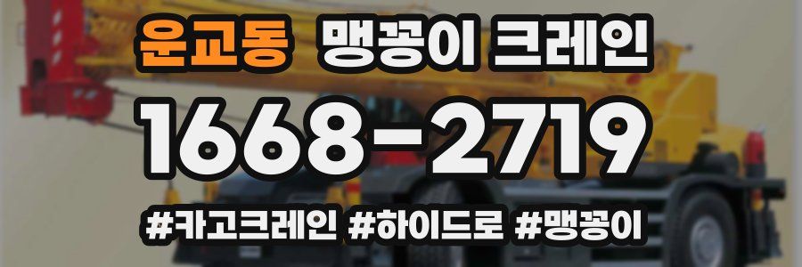 운교동 맹꽁이 크레인