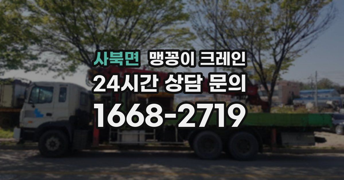 사북면 맹꽁이 크레인