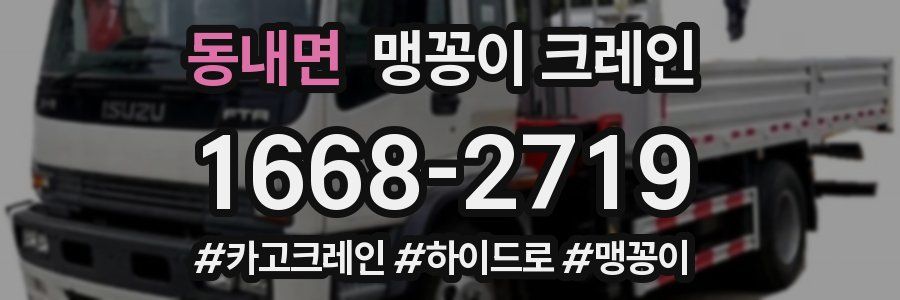 동내면 맹꽁이 크레인