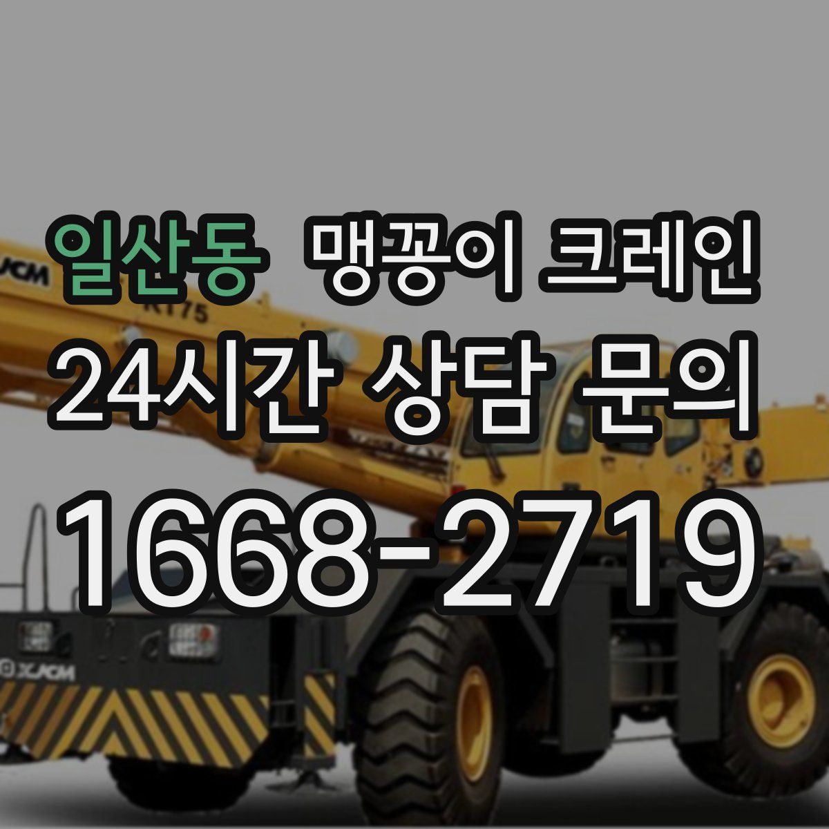 일산동 맹꽁이 크레인