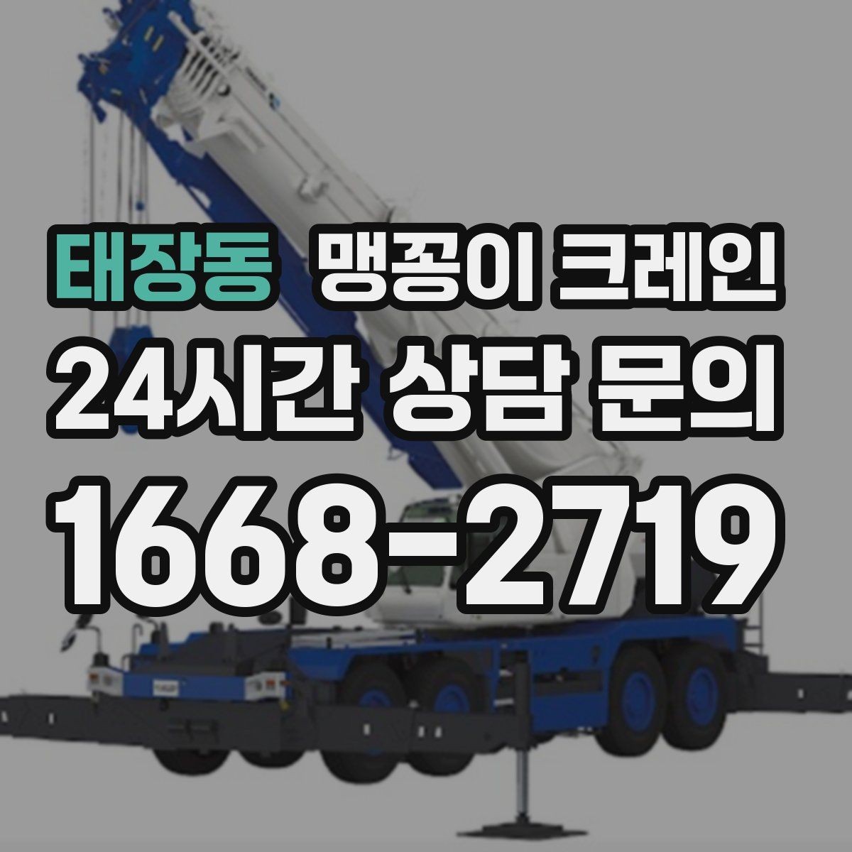 태장동 맹꽁이 크레인 컨테이너 내부 장비 반입에 적합한 이유