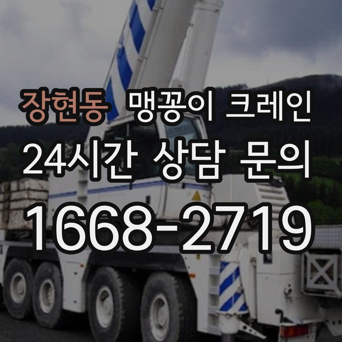 장현동 맹꽁이 크레인