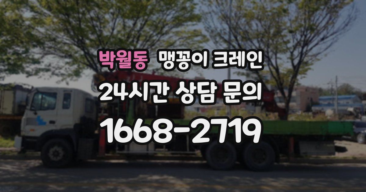 박월동 맹꽁이 크레인