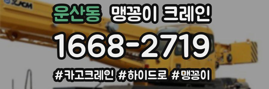 운산동 맹꽁이 크레인