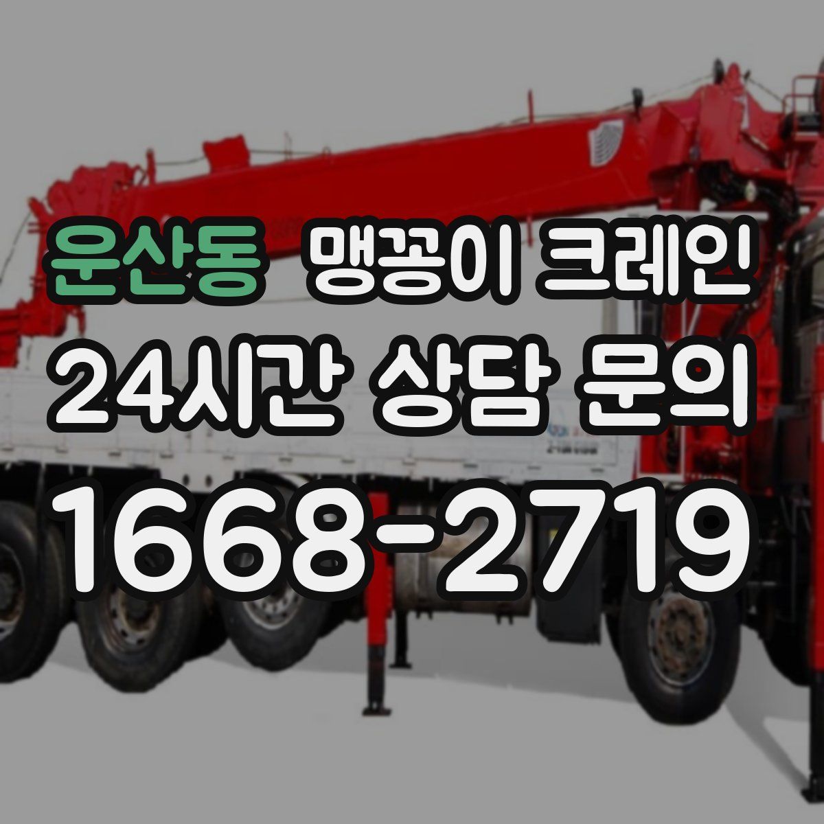 운산동 맹꽁이 크레인