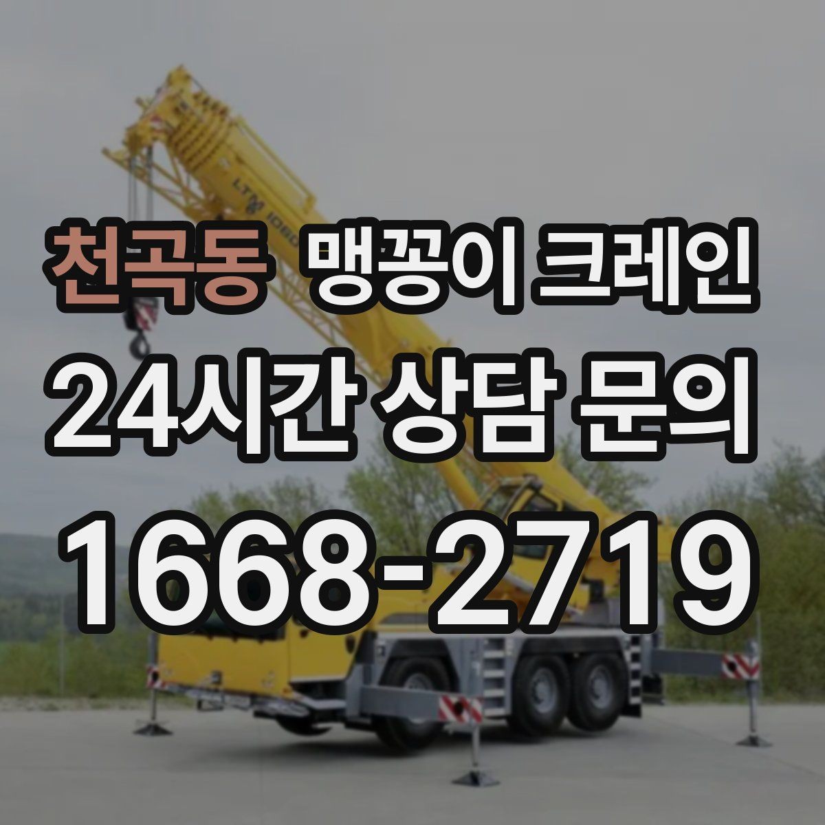 천곡동 맹꽁이 크레인 장비 설치 위치가 좁을 때 해결 방법