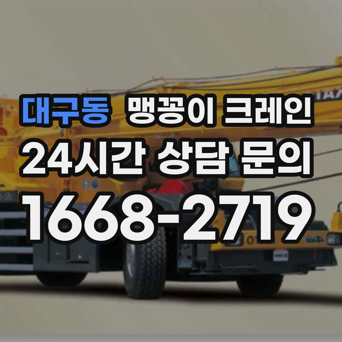 대구동 맹꽁이 크레인