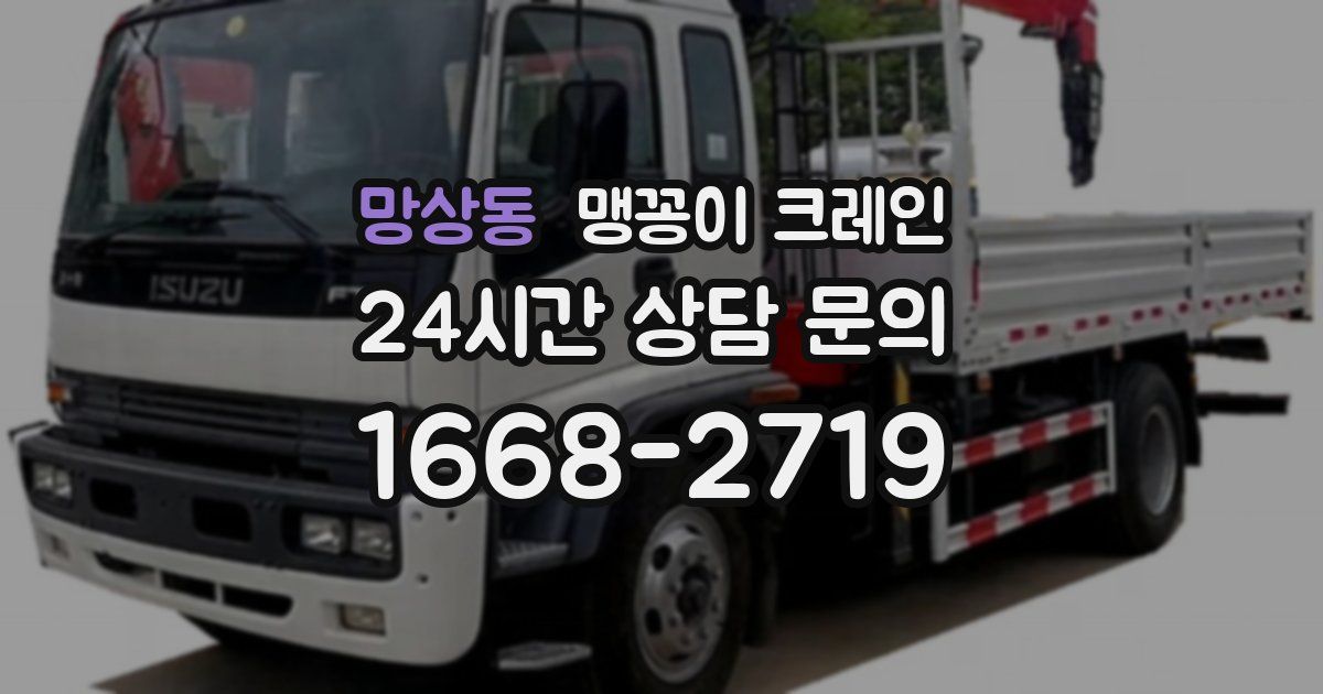 망상동 맹꽁이 크레인