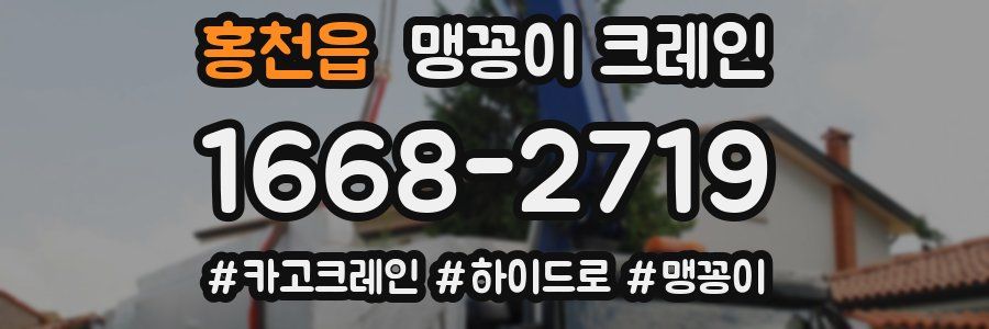 홍천읍 맹꽁이 크레인