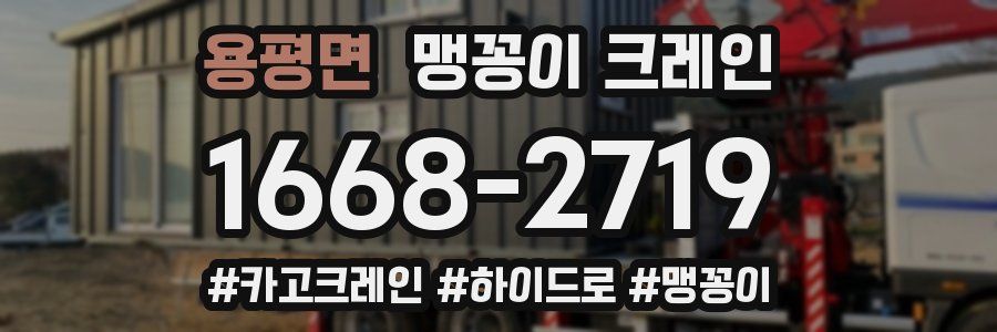 용평면 맹꽁이 크레인