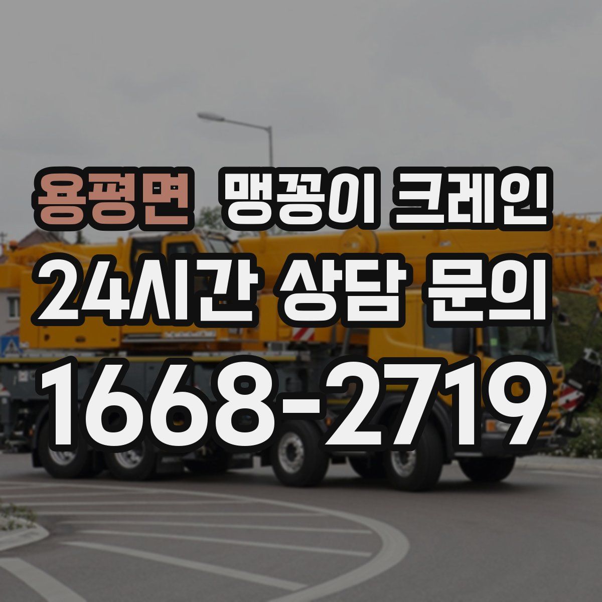 용평면 맹꽁이 크레인