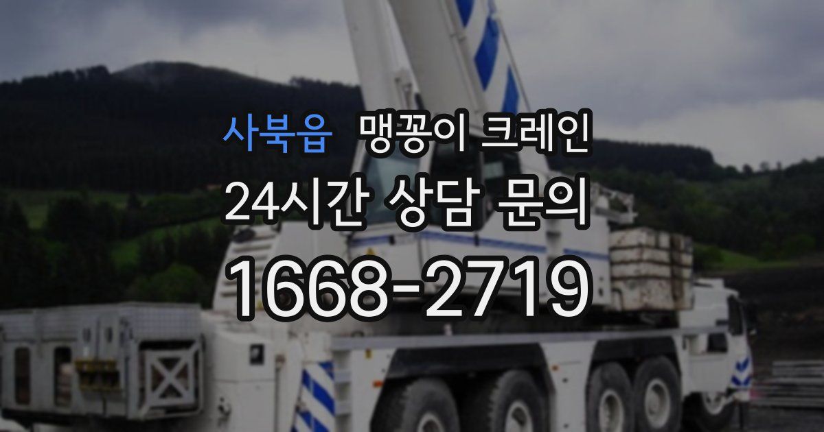 사북읍 맹꽁이 크레인