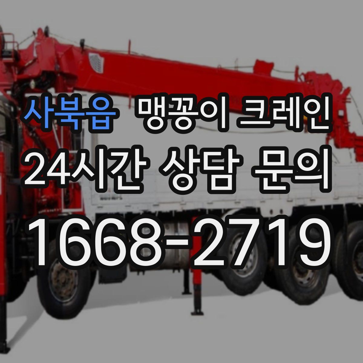 사북읍 맹꽁이 크레인