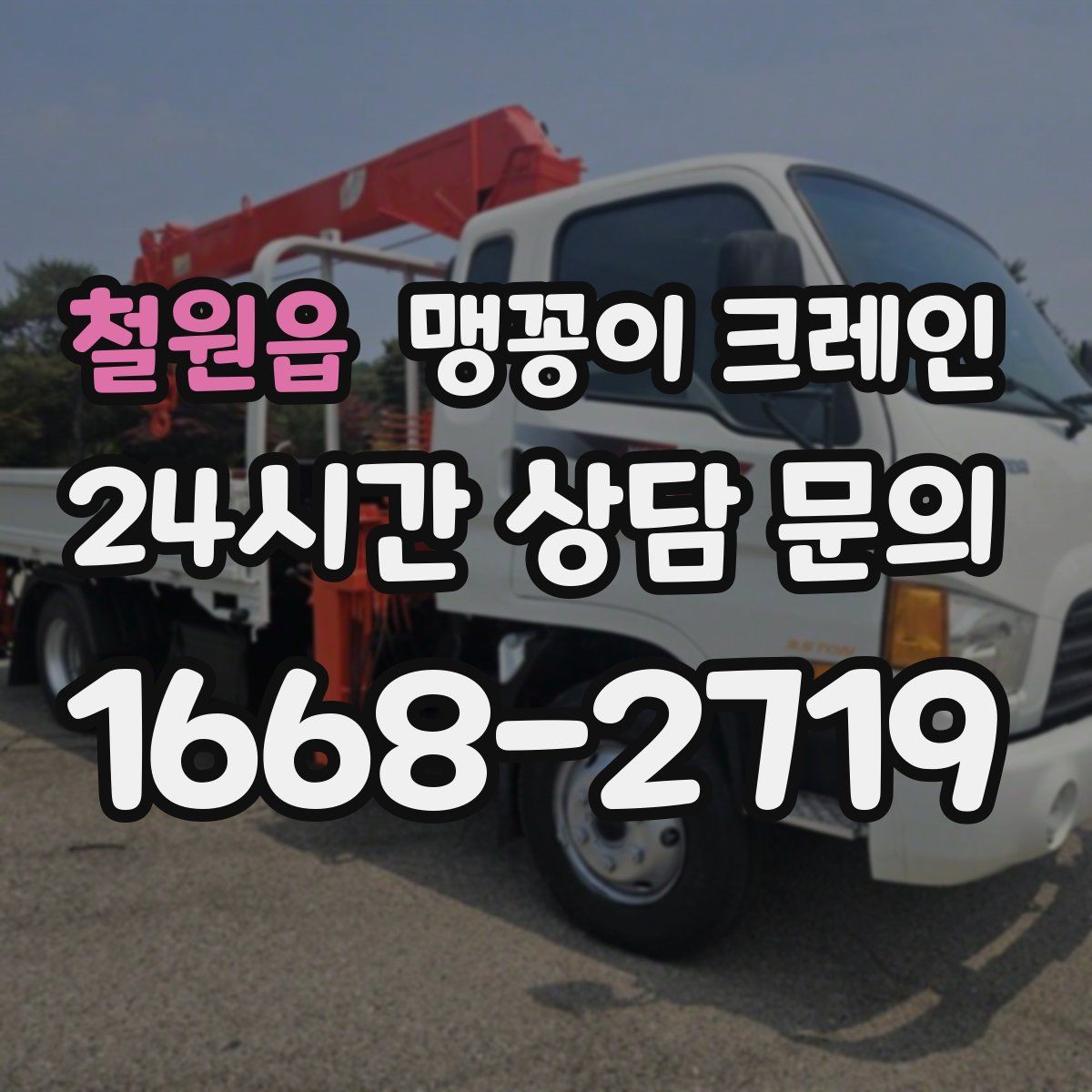철원읍 맹꽁이 크레인
