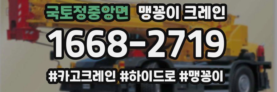 국토정중앙면 맹꽁이 크레인