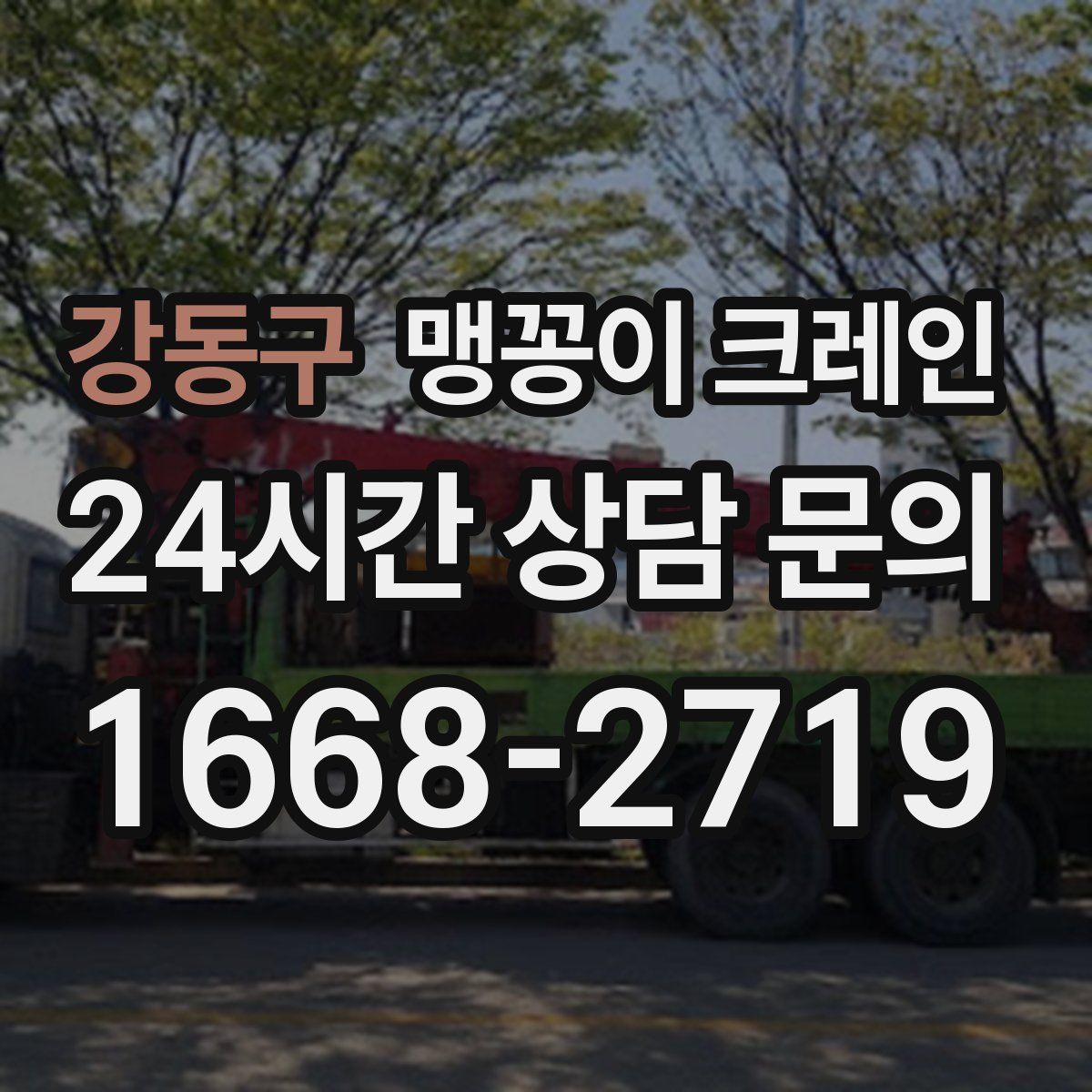 강동구 맹꽁이 크레인
