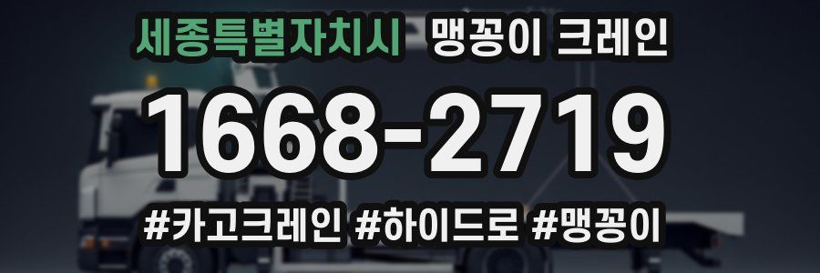 세종특별자치시 맹꽁이 크레인