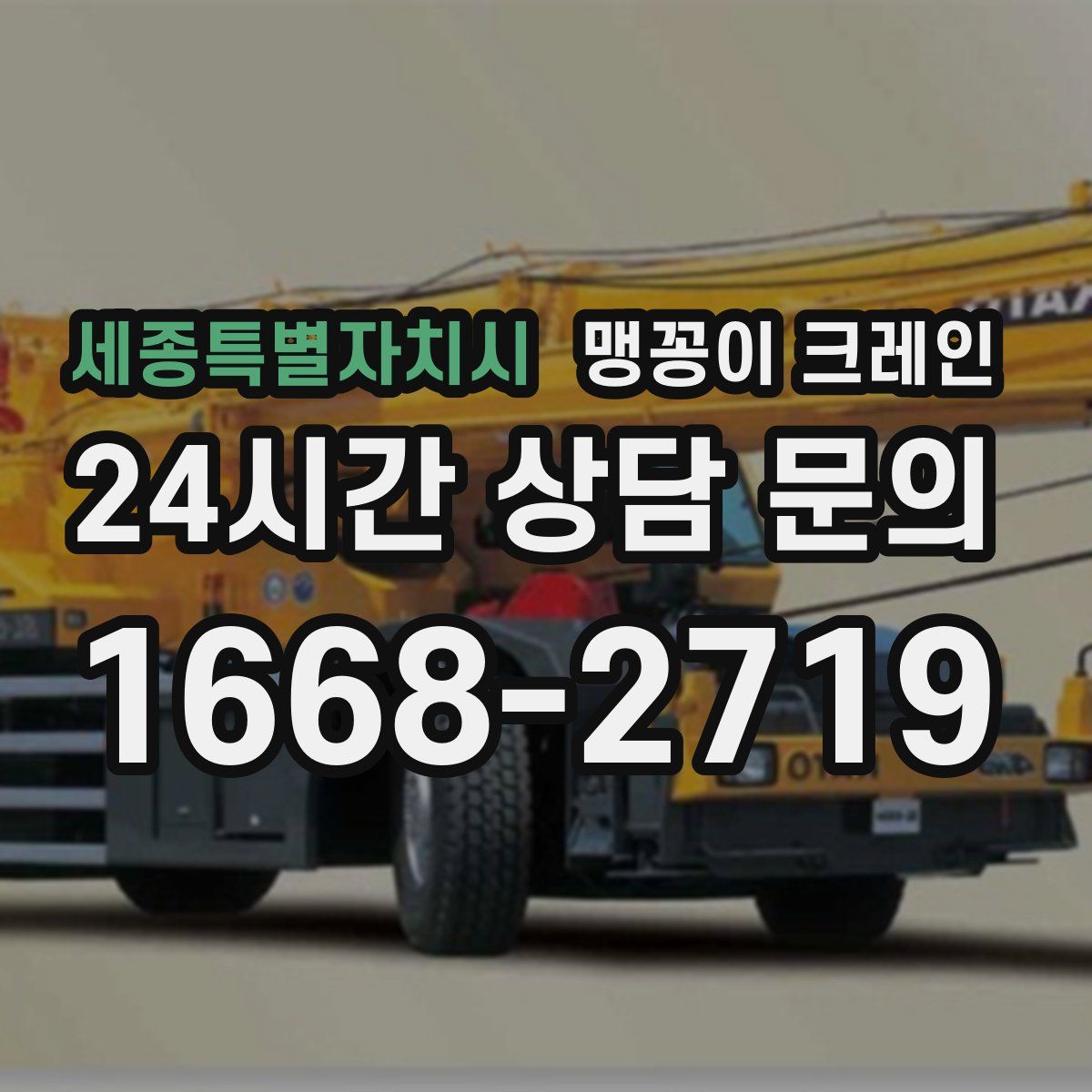 세종특별자치시 맹꽁이 크레인