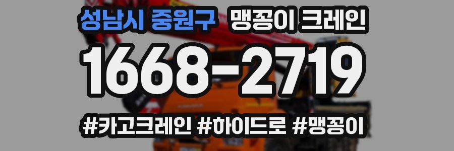 성남시 중원구 맹꽁이 크레인