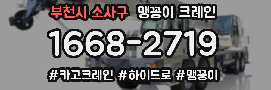 부천시 소사구 맹꽁이 크레인