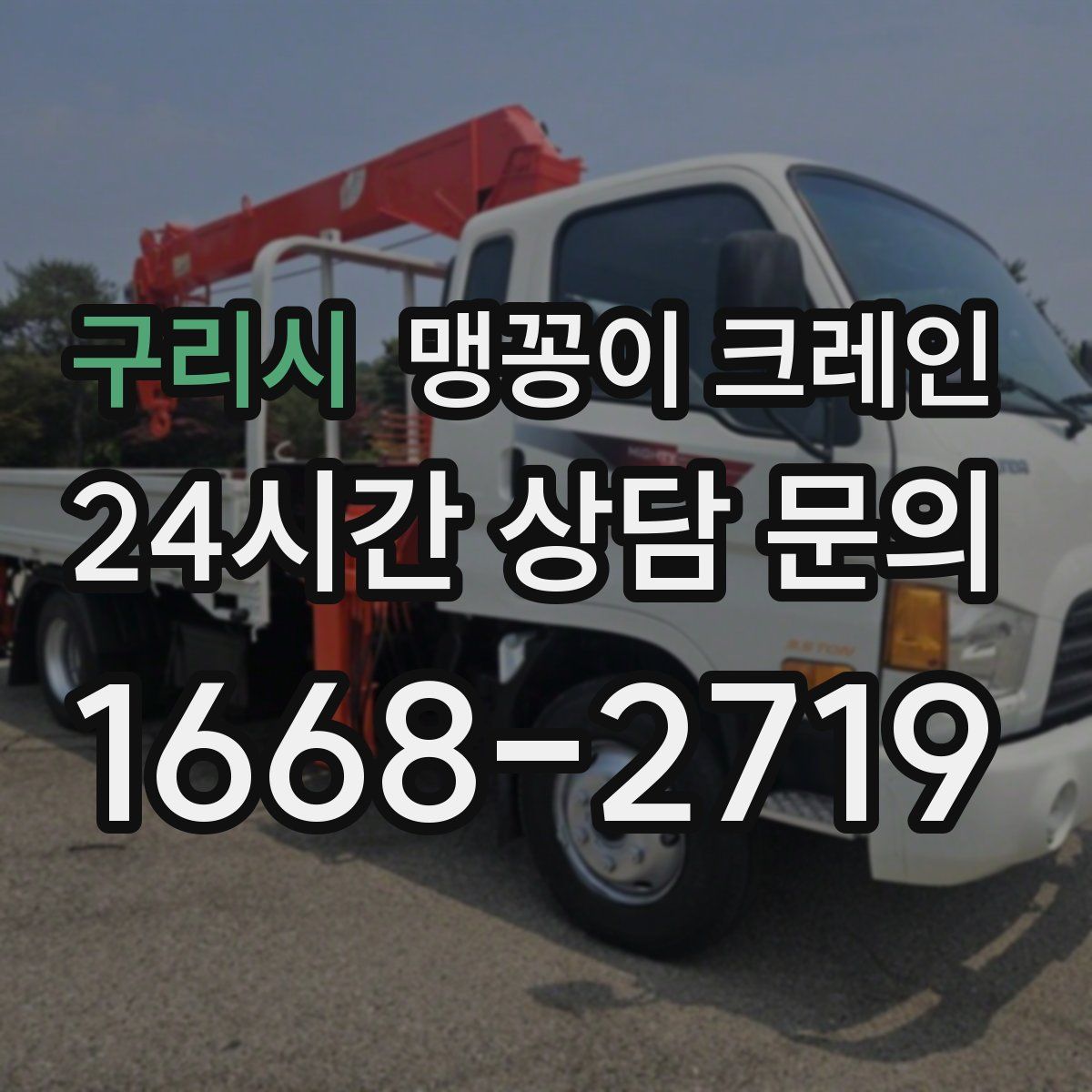 구리시 맹꽁이 크레인