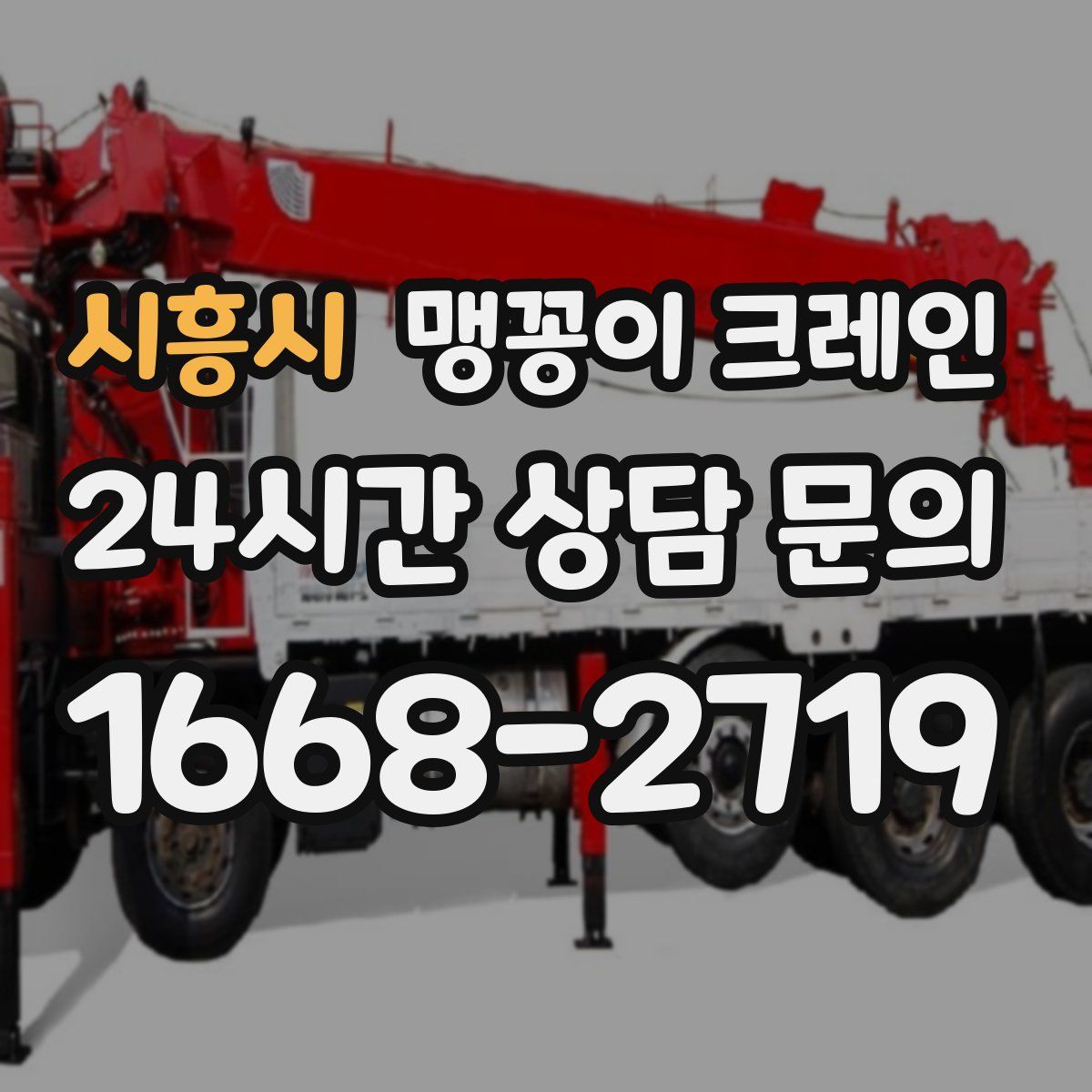 시흥시 맹꽁이 크레인