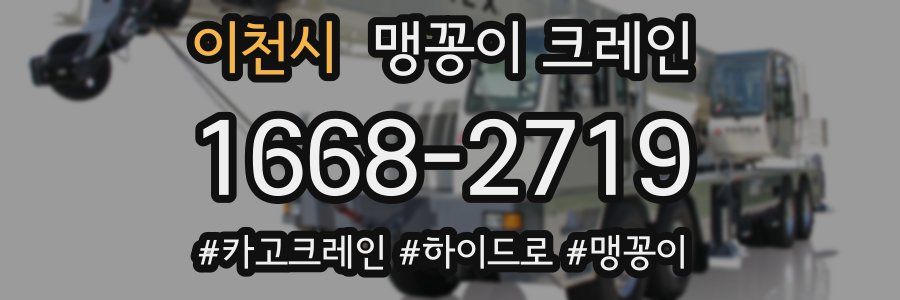 이천시 맹꽁이 크레인