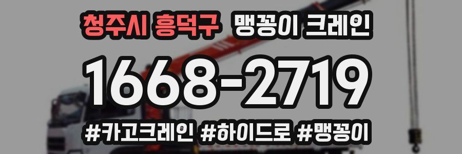 청주시 흥덕구 맹꽁이 크레인