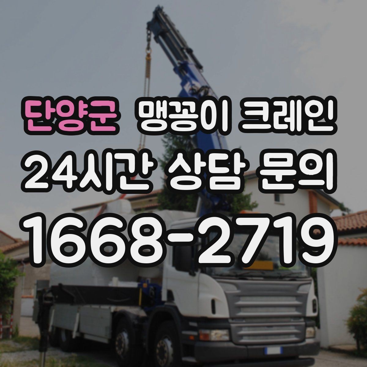 단양군 맹꽁이 크레인 반나절·종일 작업 선택 기준