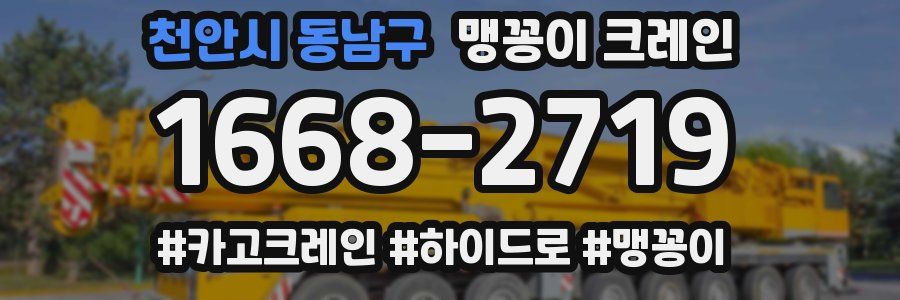 천안시 동남구 맹꽁이 크레인